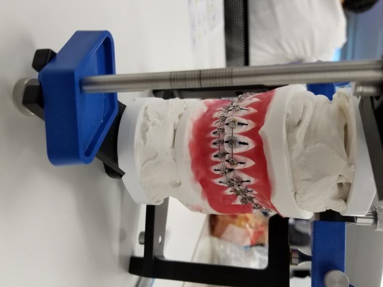 矯正治療での咬み合わせの勉強会に参加してきました‐鶴ヶ峰の矯正歯科　たけのうち矯正歯科