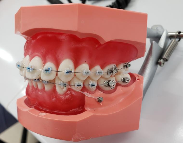 矯正歯科用インプラントの勉強会に参加して参りました‐鶴ヶ峰の矯正歯科　たけのうち矯正歯科