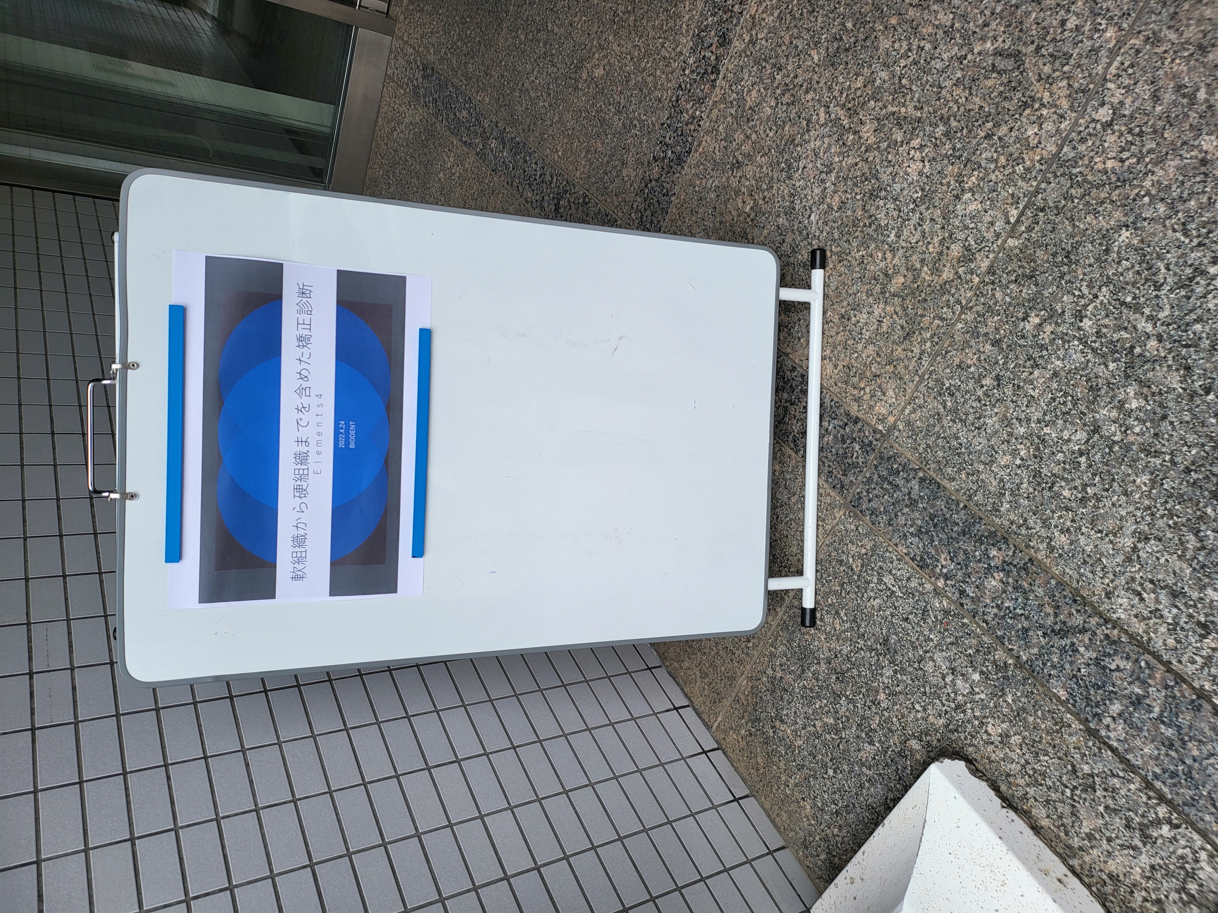 軟組織から硬組織までを含めた矯正診断のセミナーに参加してきました‐鶴ヶ峰の矯正歯科 たけのうち矯正歯科